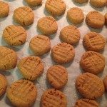A cookie sheet with rows of small cookies.