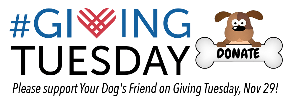 Giving Tuesday, 2022