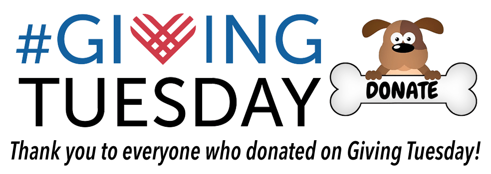 Thank you to everyone who donated on Giving Tuesday!